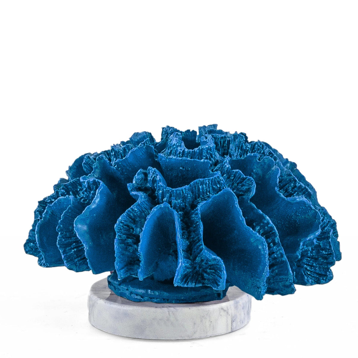 Lora Blue Coral Decorative Accessory