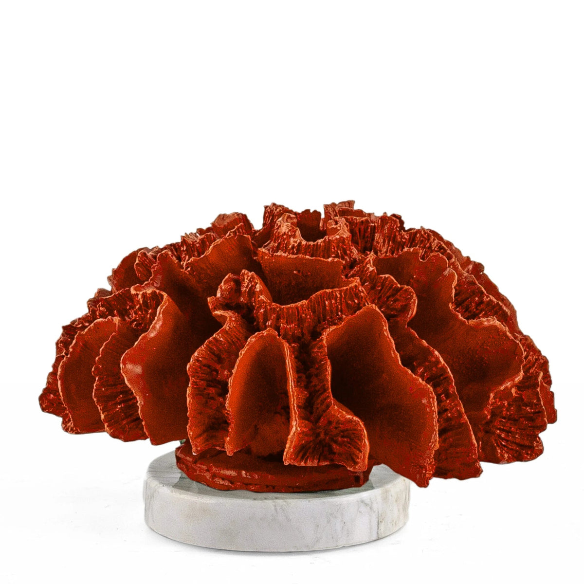 Mivo Red Coral Decorative Accessory