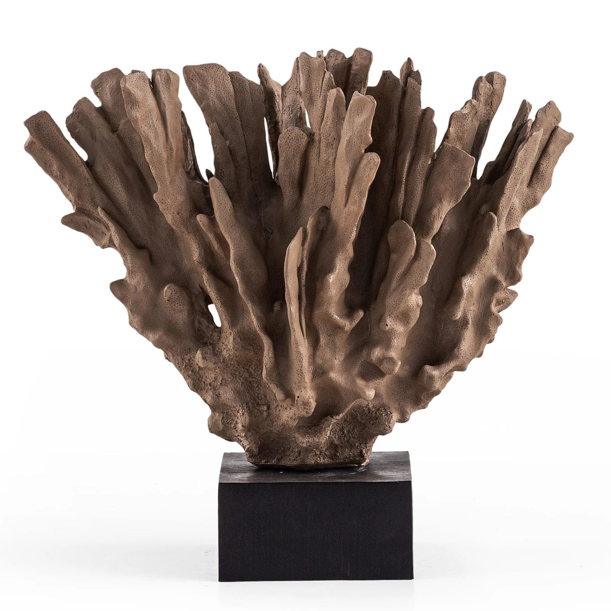 Cova Brown Coral Decorative Accessory