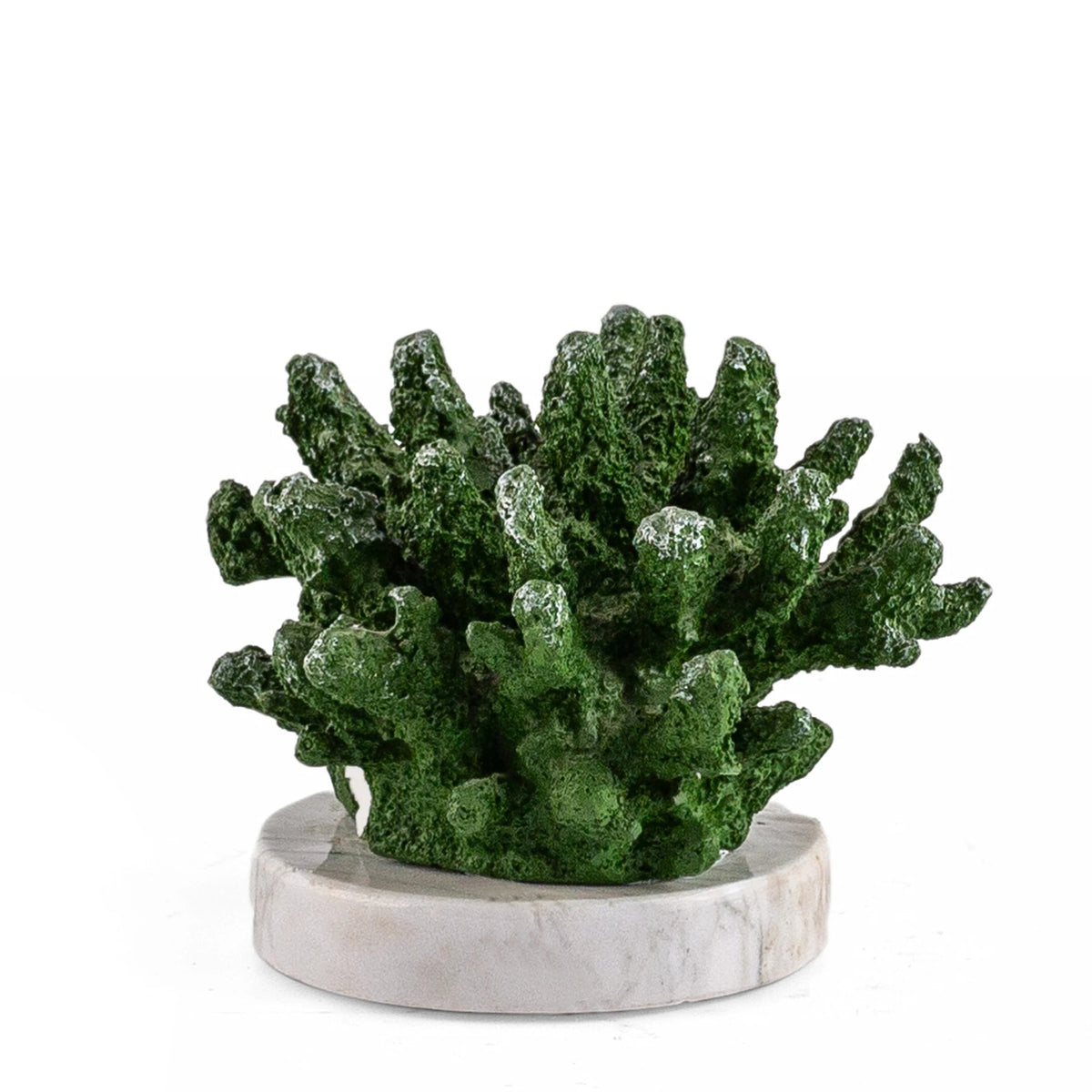 Fira Green Coral Decorative Accessory with Marble Base