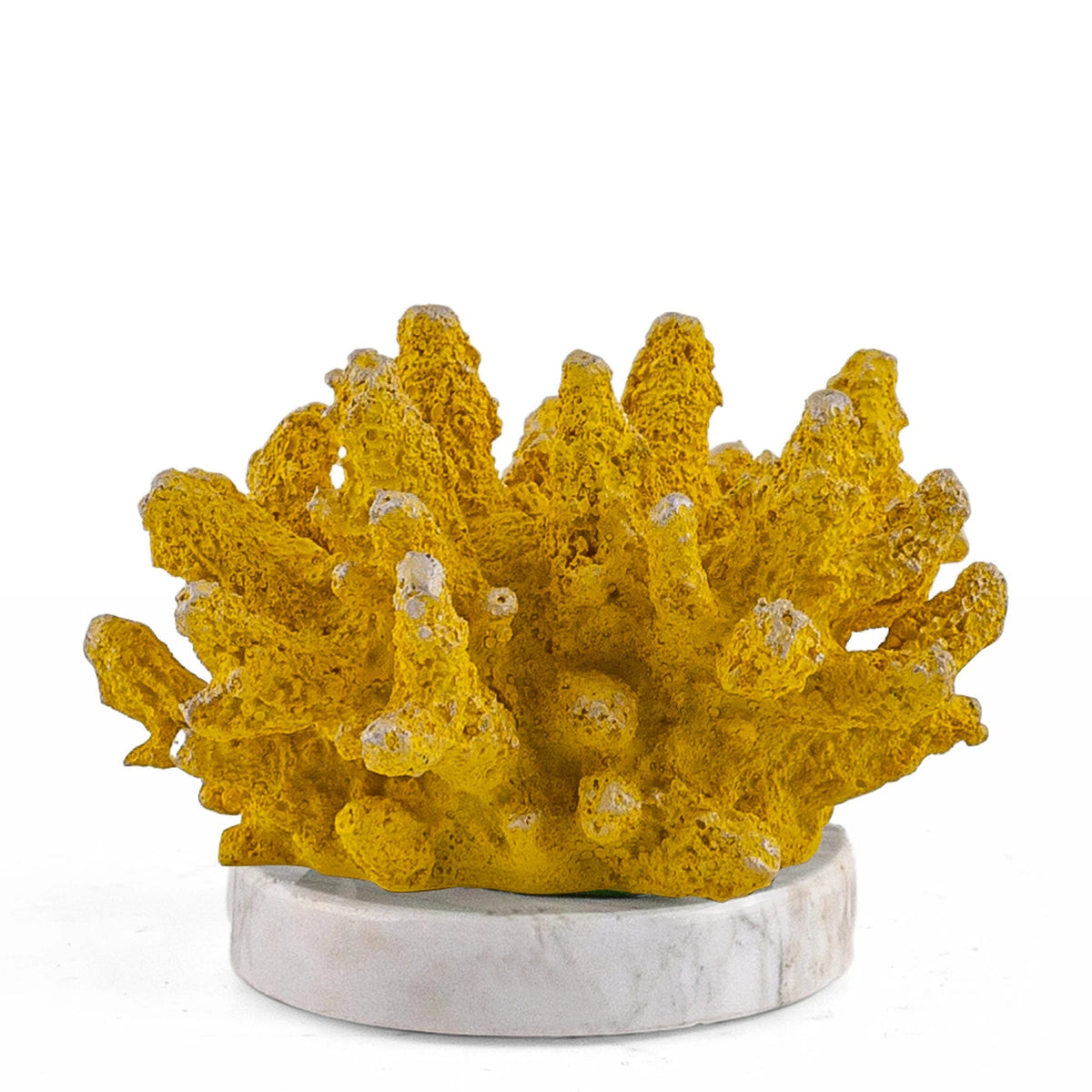 Faro Yellow Coral Decorative Accessory