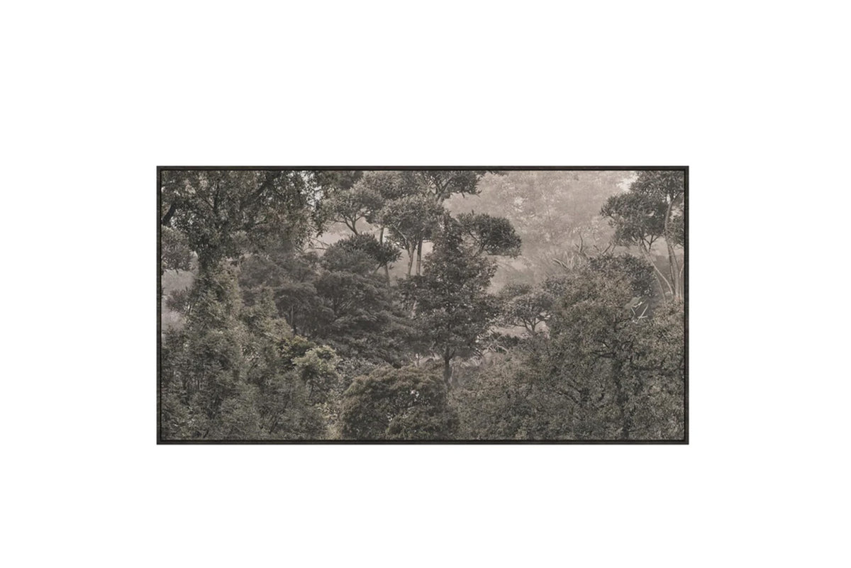 Quıet Forest Tablo